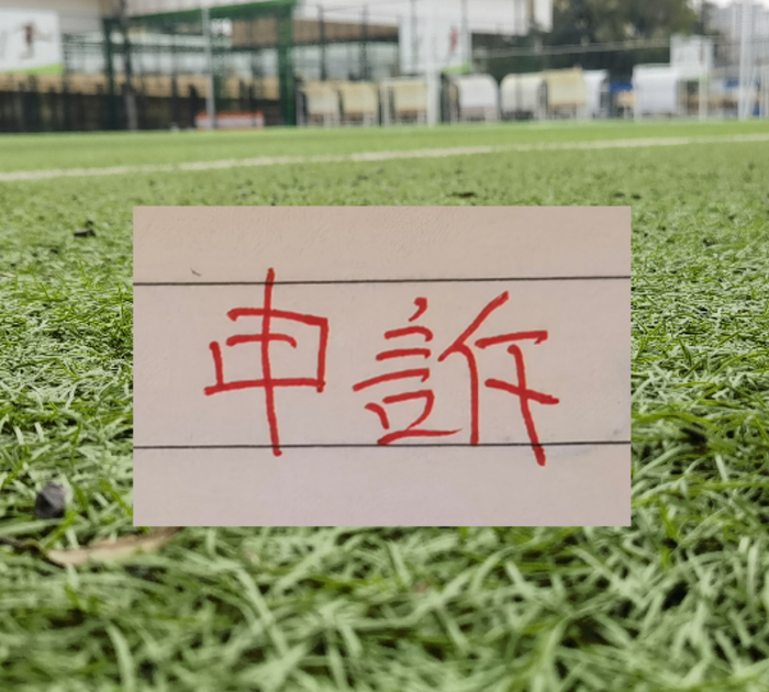 开云体育-北京国安曹永竞踩踏大连外援红牌 最终决定正确！|中国足协|成都蓉城|韦世豪|王竞|比赛_新浪体育_新浪新闻